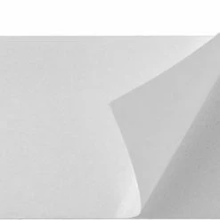 Goedkoopste ? ProPlus Pro Plus Zelfklevend Reflector - 82 X 36 Mm - Wit - 2 Stuks In Blister ? -Kastoes winkel 550x290