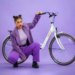 Korting ? Crown Rio Damesfiets 28 Inch 53cm Gray ? -Kastoes winkel 550x366 91