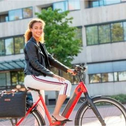 Promo ✨ New Looxs Forest Tendo Laptop Fietstas 21 Liter Rood ? -Kastoes winkel 550x367 21