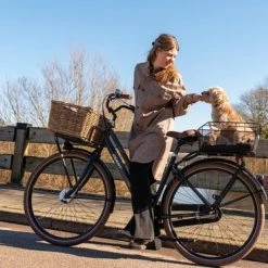 Kopen ? Fastrider Olav Fietsmand Voor Achterdrager - Inclusief Bevestiging - 25 Liter - Metaal - Zwart ⌛ -Kastoes winkel 550x367 27