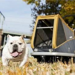 Kopen ? Croozer Hondenfietskar - Peppa (L) ? -Kastoes winkel 550x367 5