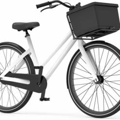 Beste recensies van ? The Basky Company The Basky Basket - Fietsmand En Winkelmand In N - Geen Sticker - Sustainable ? -Kastoes winkel 550x411 4